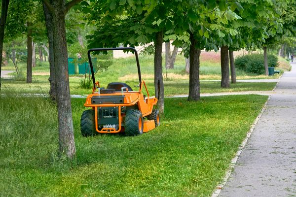 Cost of Landscaping Cleanup Service in Reno