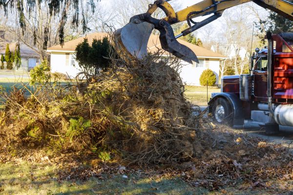 Cost of Storm Debris Removal in Reno