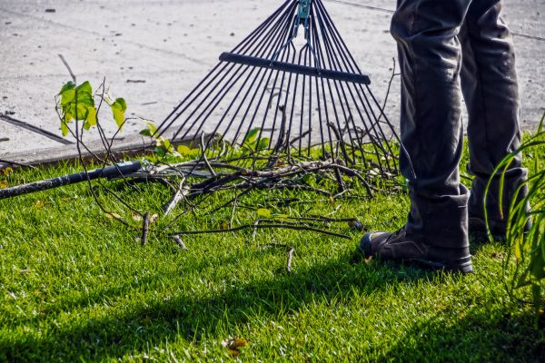 Cost of Yard Debris Cleanup in Reno