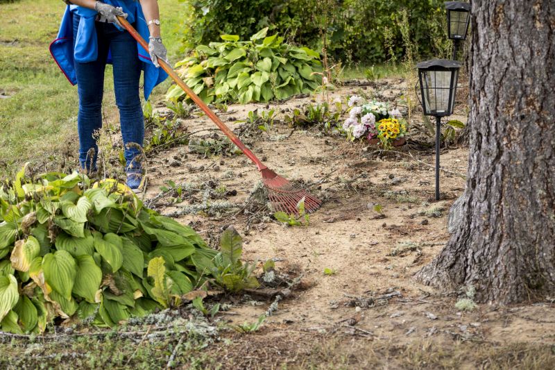 Eco-Friendly Options