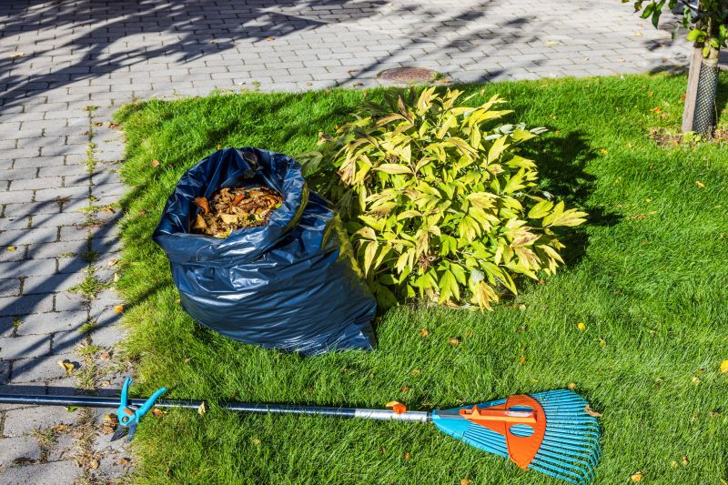 Spring Lawn Preparation